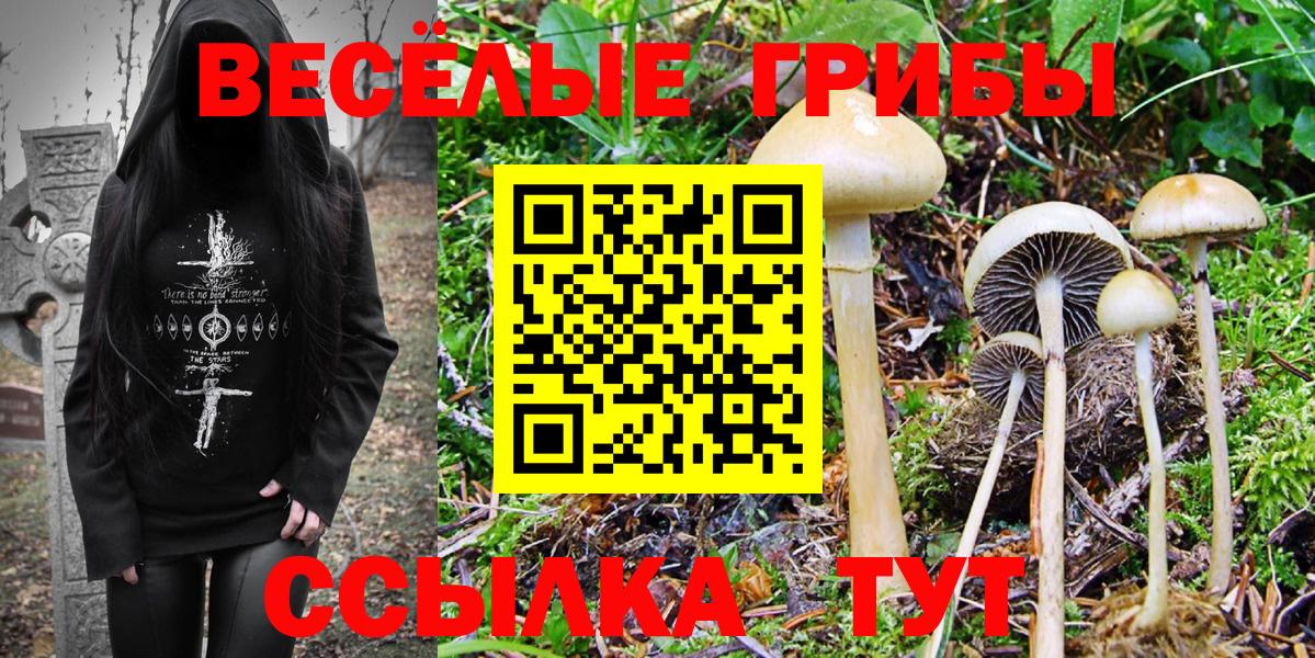 Галлюциногенные грибы Psilocybine cubensis  Вход с VPN  Бор 